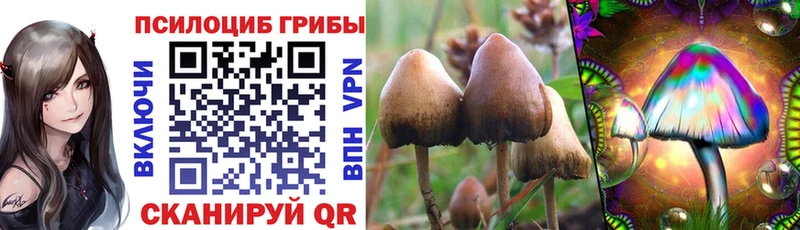 Галлюциногенные грибы Magic Shrooms закладки Черепаново